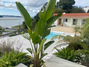 alquiler casa de lujo en Galicia